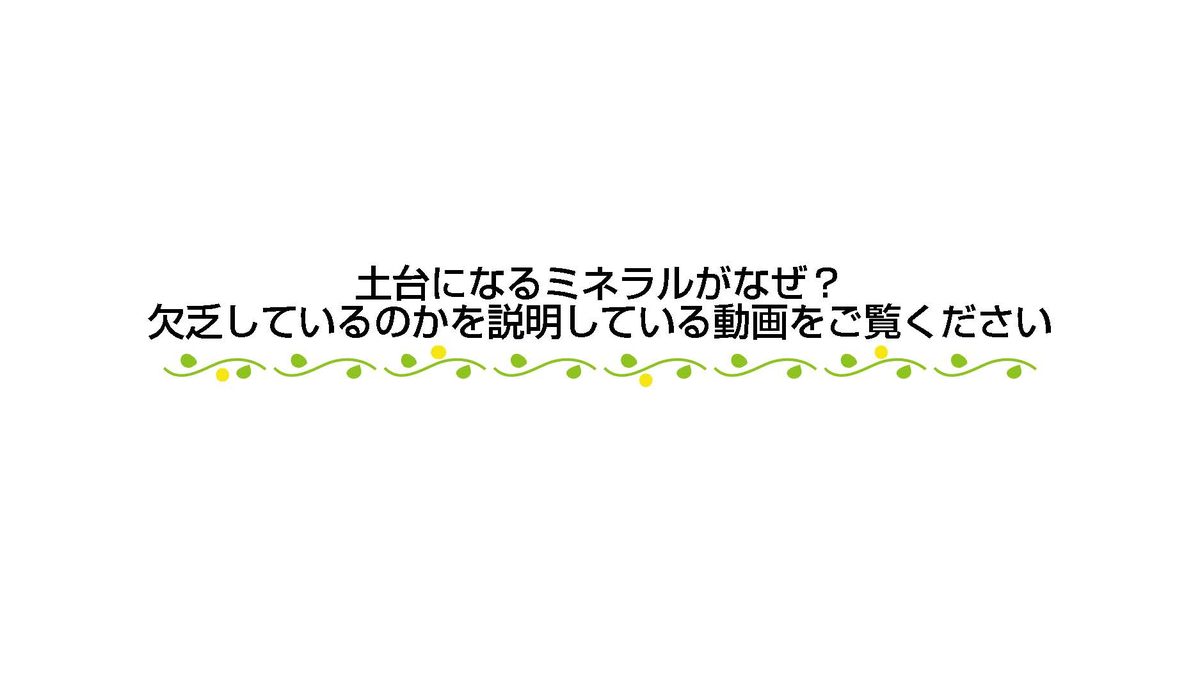 体験会チャート　LP版＿知久_ページ_21.jpg