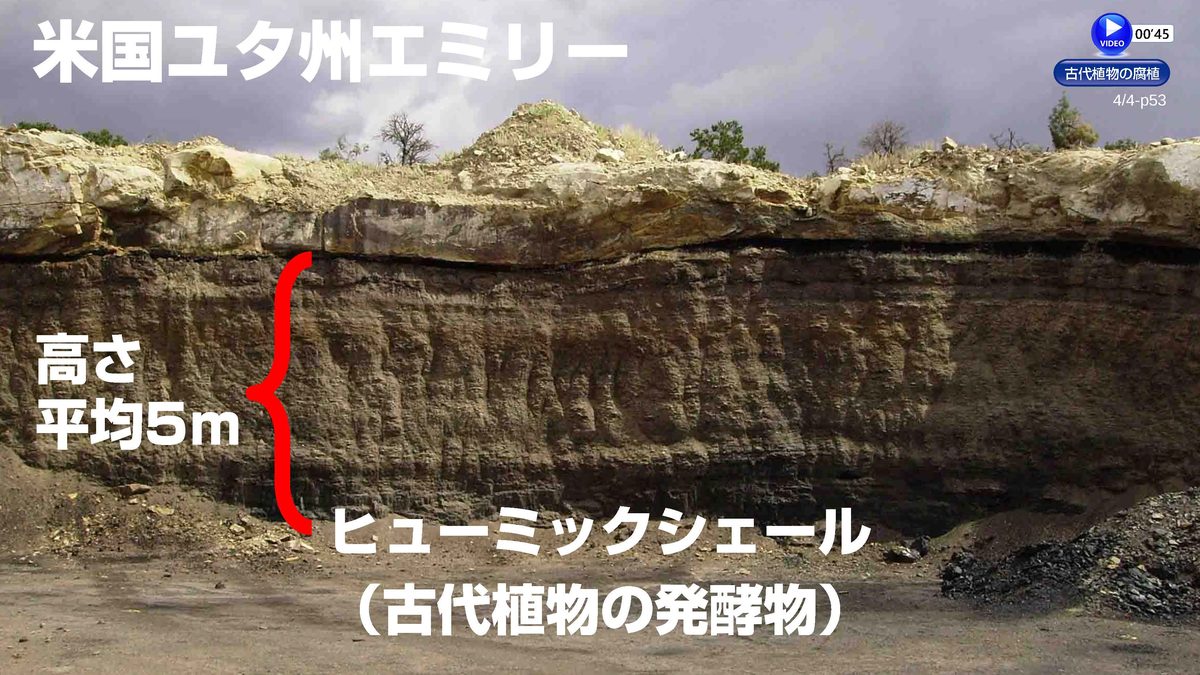体験会チャート　LP版＿知�久_ページ_33.jpg