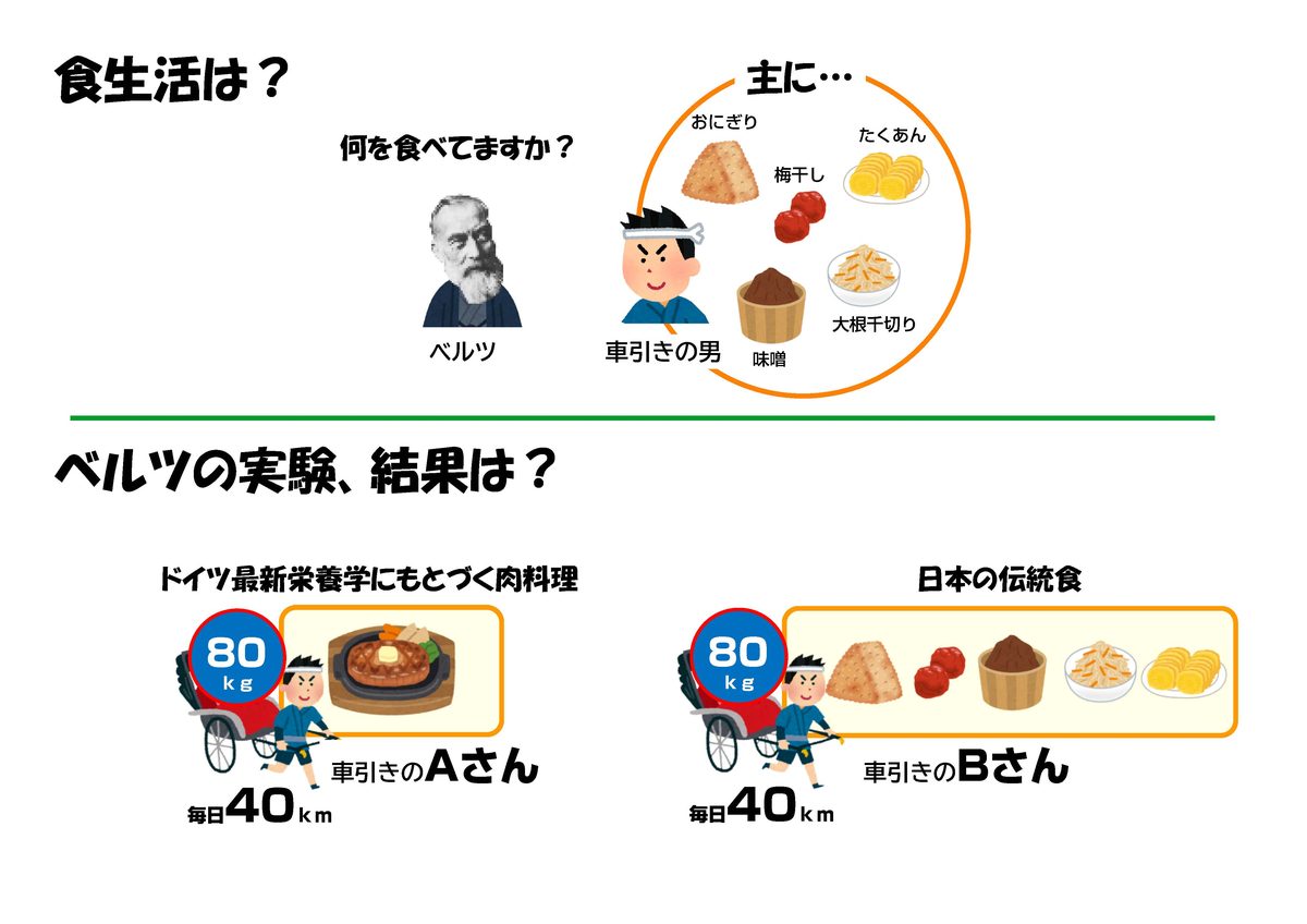 BASIC_ベルツの日記チャート 3枚目