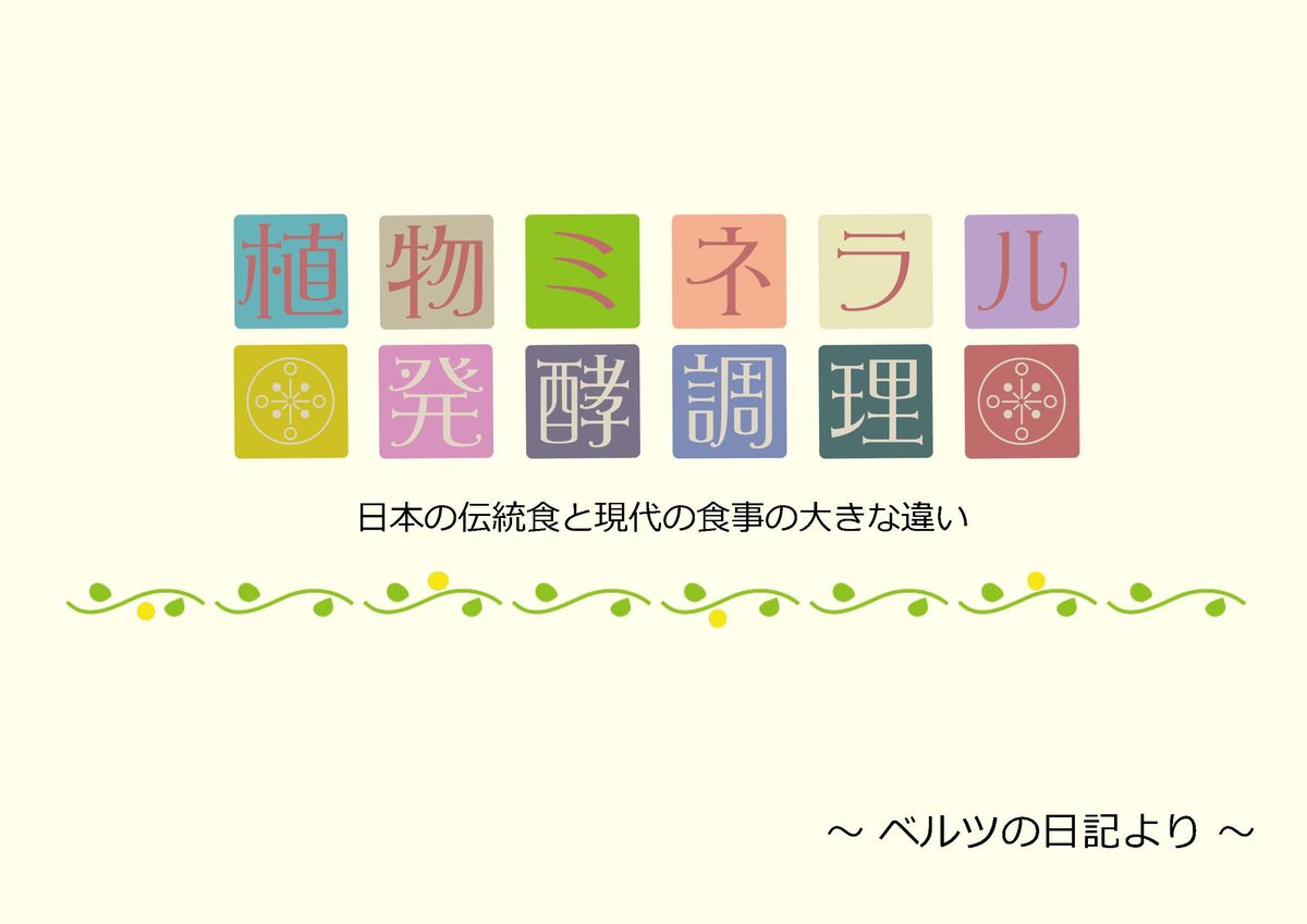 BASIC_ベルツの日記チャート 1枚目
