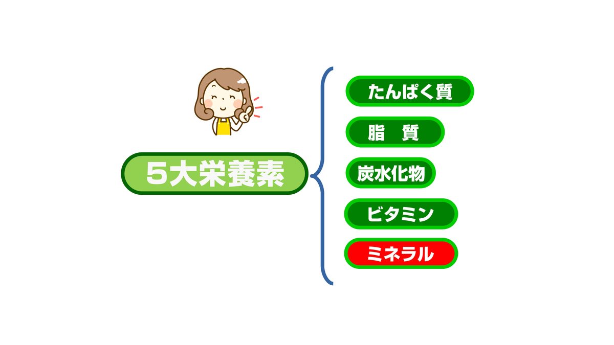 ミネラルチャート 3枚目