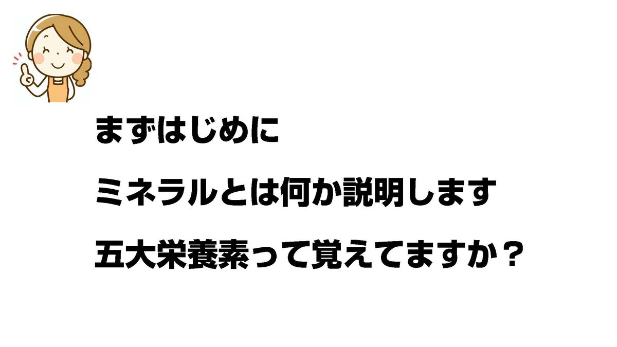 ミネラルチャート 2枚目