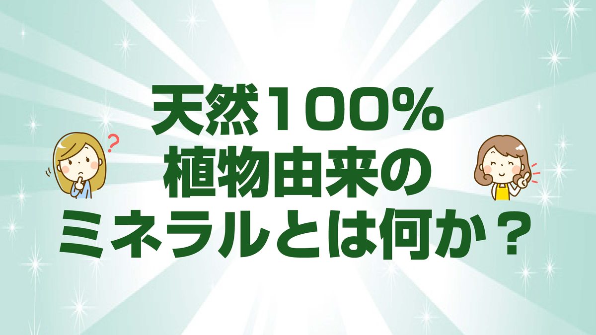ミネラルチャート 1枚目