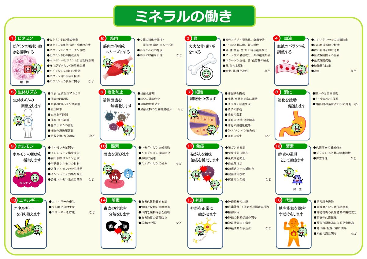 ミネラルの働き